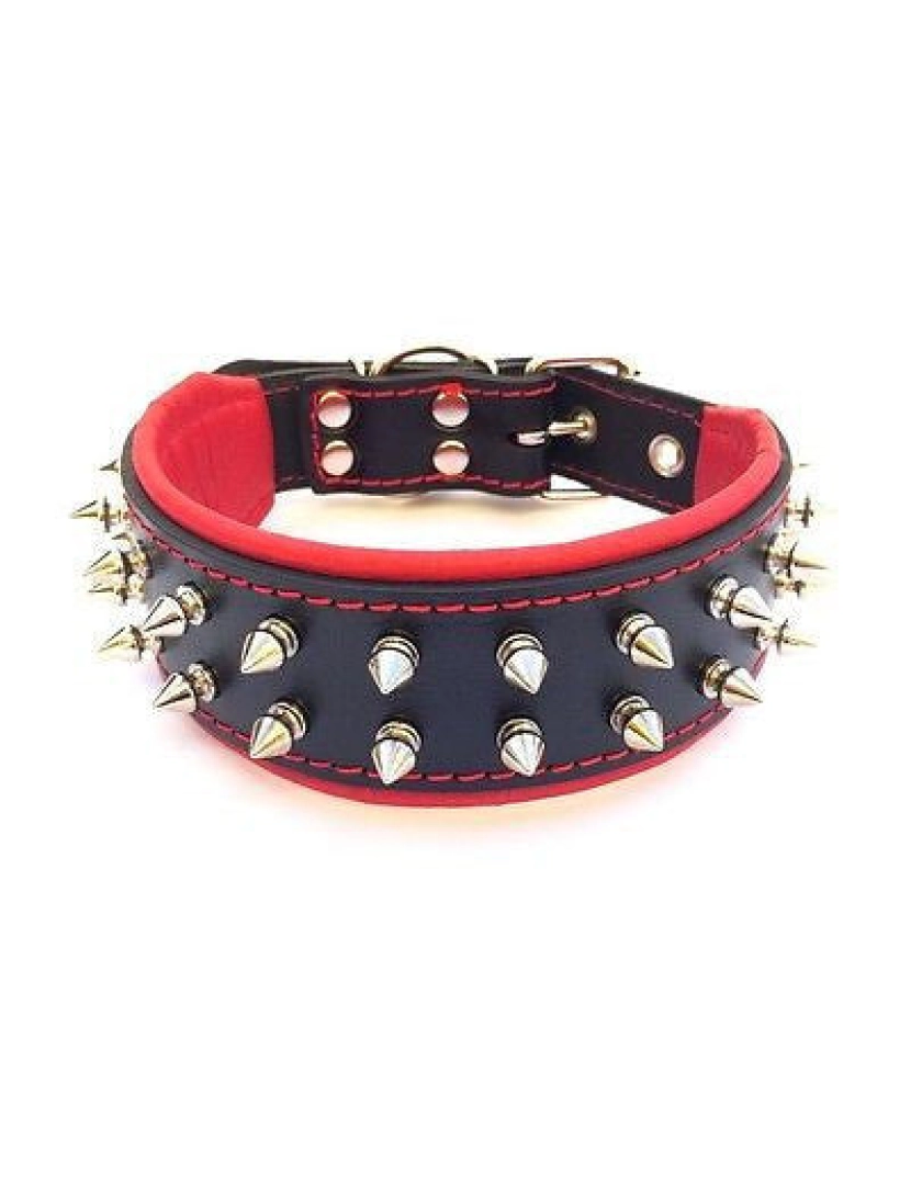 imagem de The Frenchie Collar Black & Black3