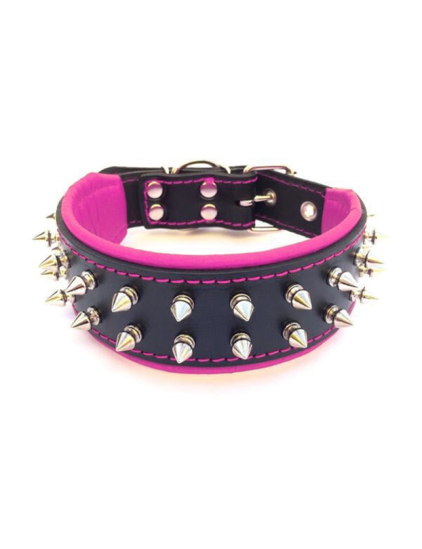 imagem de The Frenchie Collar Black & Black4