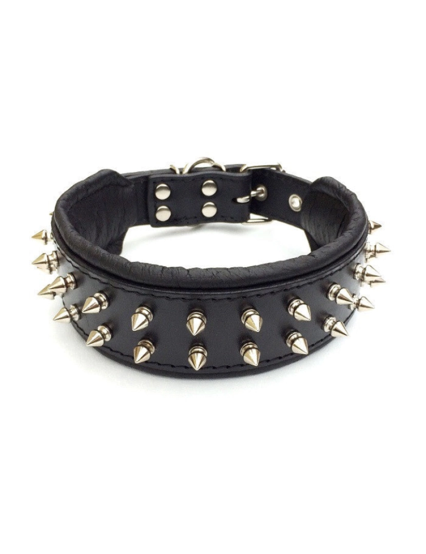 imagem de The Frenchie Collar Black & Black5