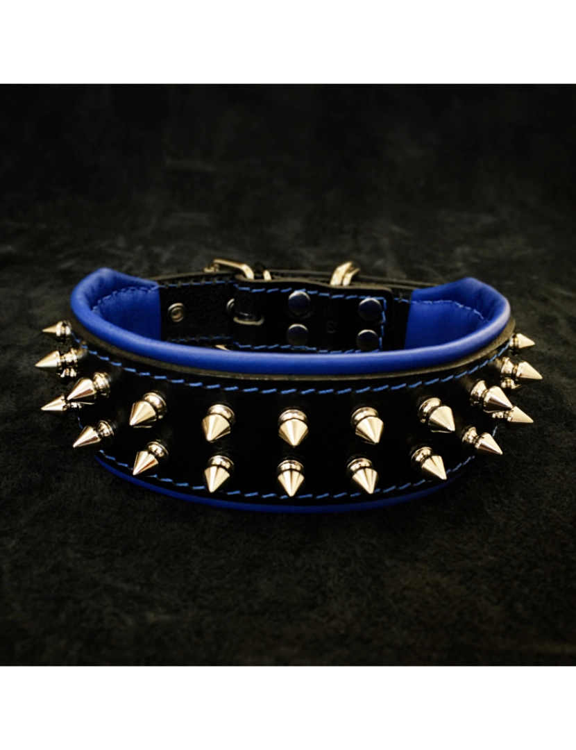 imagem de The Frenchie Collar Black & Black6