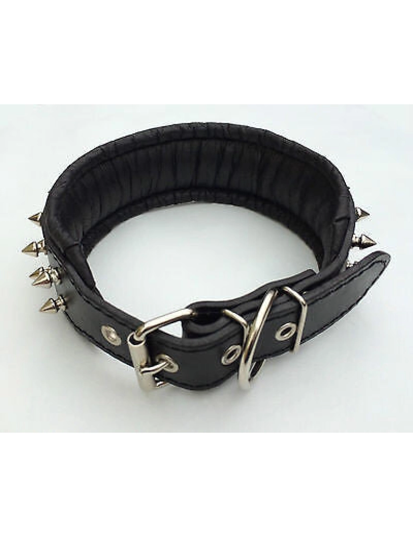 imagem de The Frenchie Collar Black & Black7