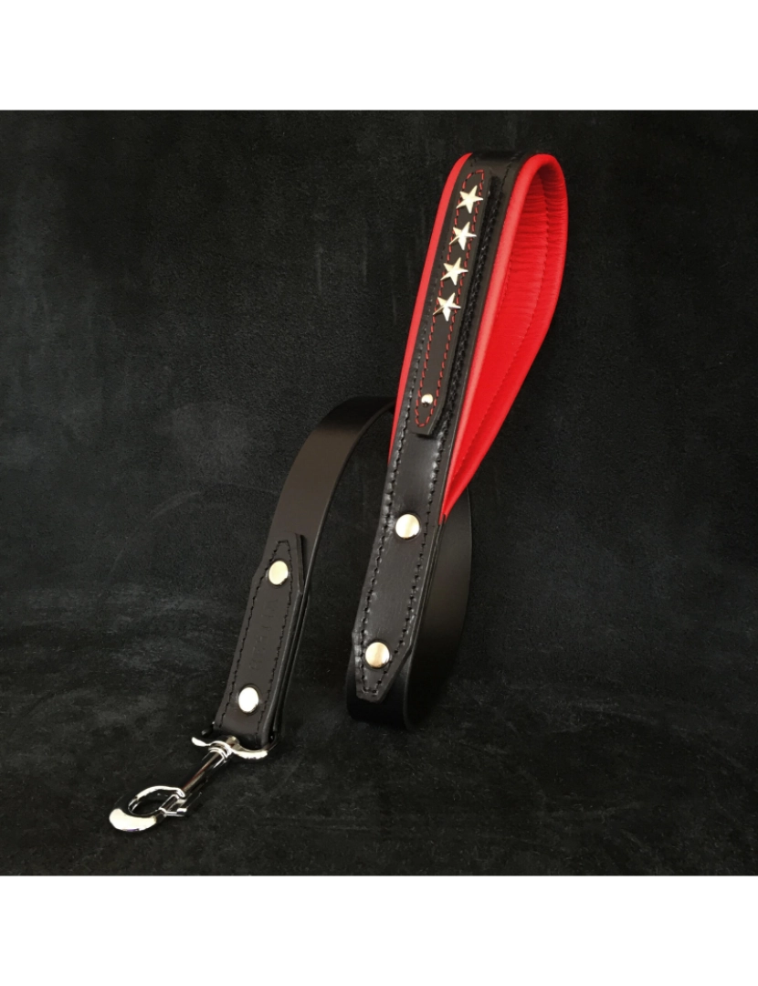 Bestia Custom Dog Gear - O Leash Geral