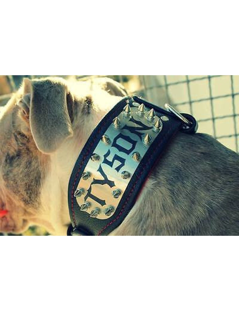 imagem de The Kennel Collar Black & Black - Personalizado5