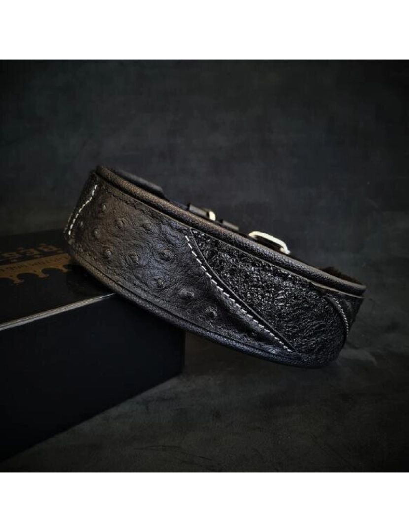 Bestia Custom Dog Gear - The Korona Collar Black Edition