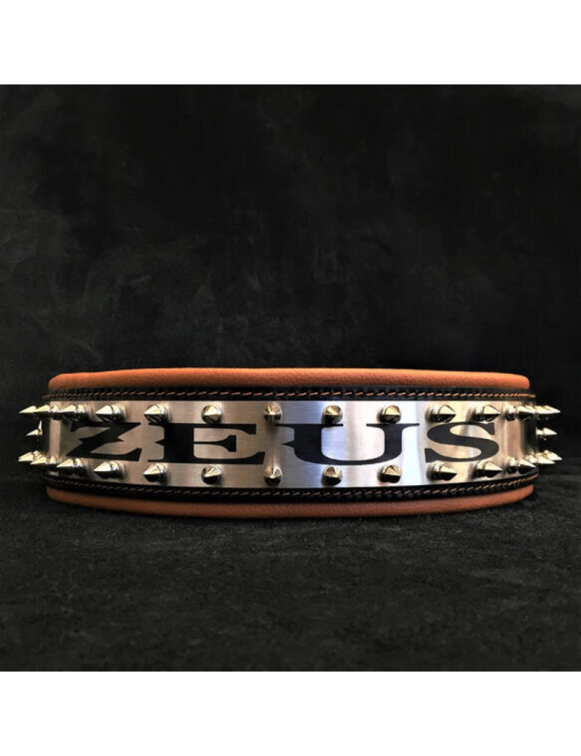 Bestia Custom Dog Gear - O colar de metal personalizado