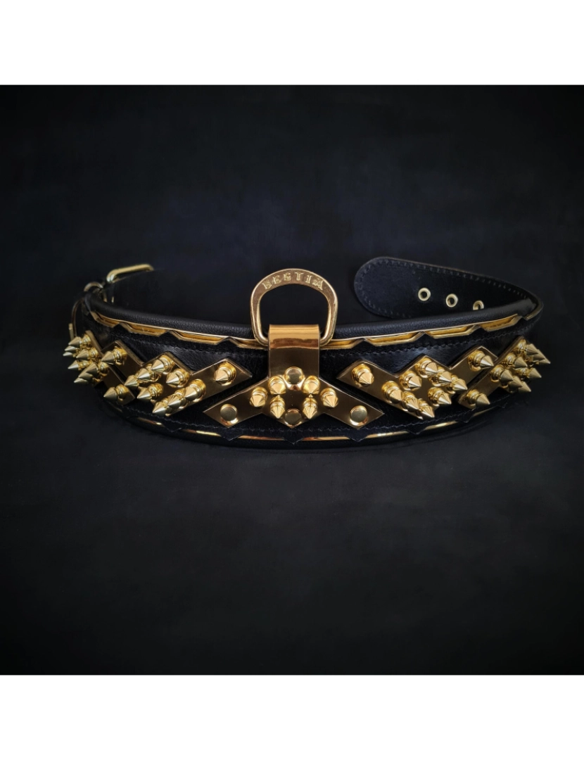 imagem de Os Midas Collar Ouro2