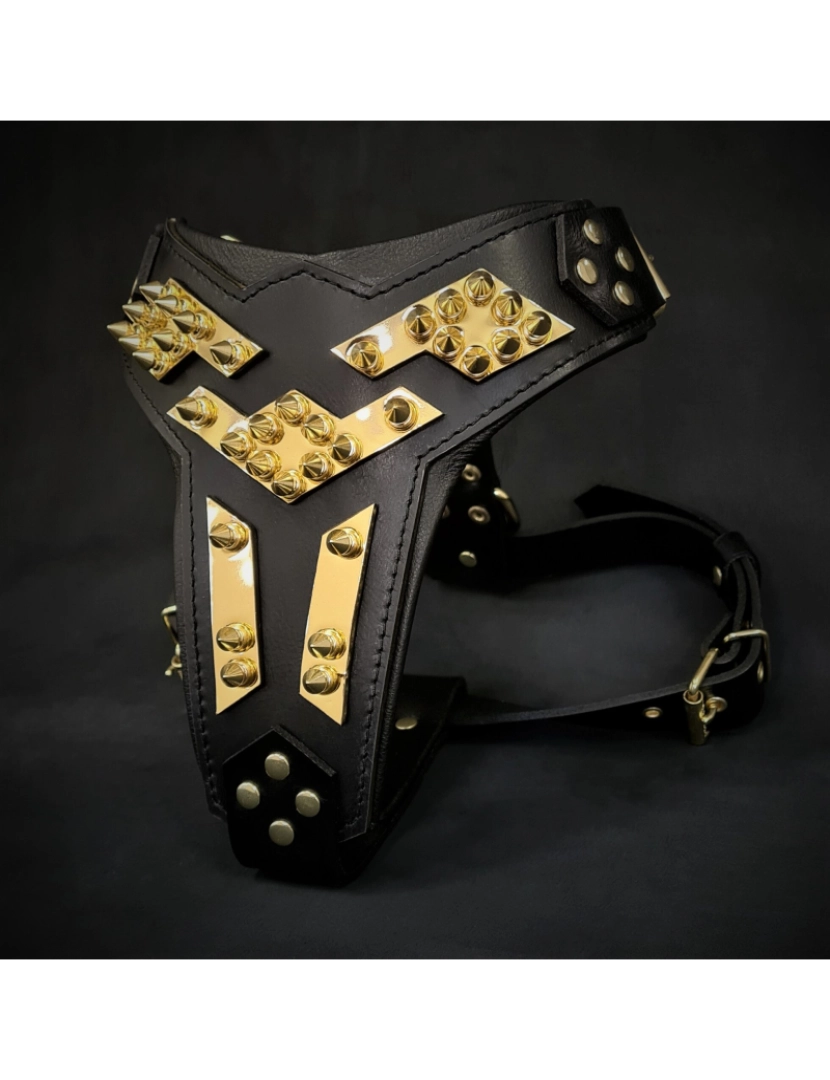 imagem de Os Midas Harness Gold2