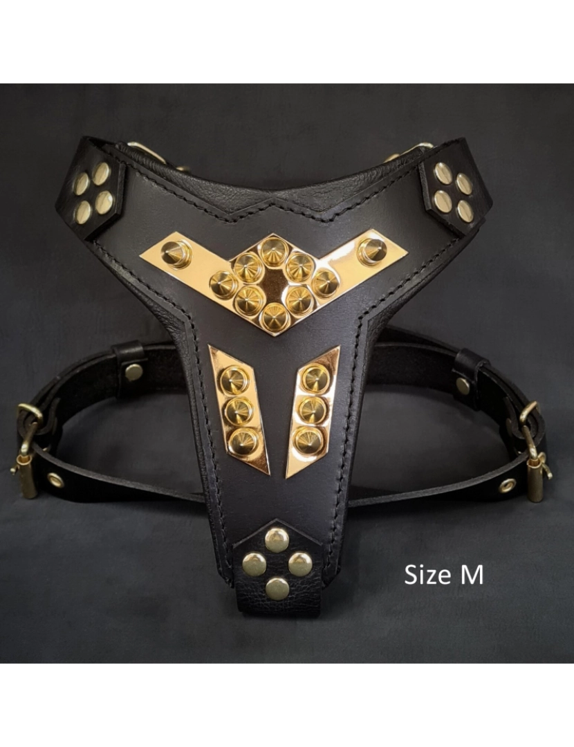 imagem de Os Midas Harness Gold3