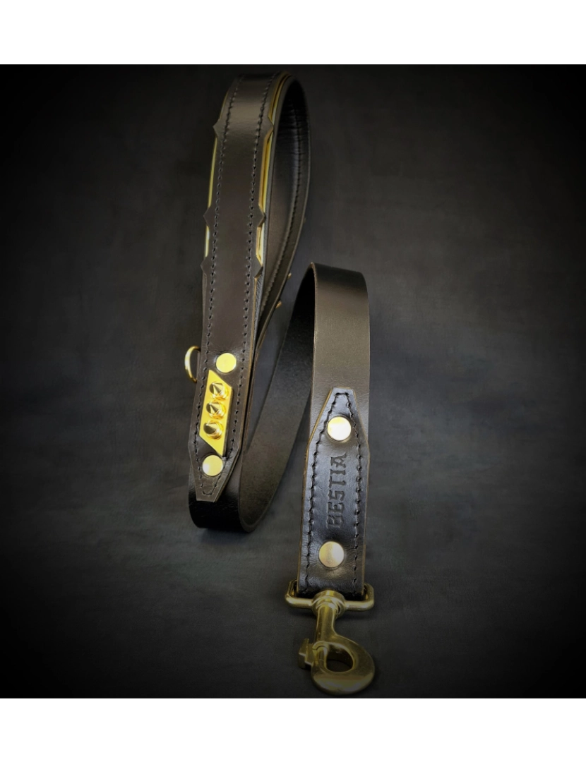 Bestia Custom Dog Gear - Os Midas Leash Ouro