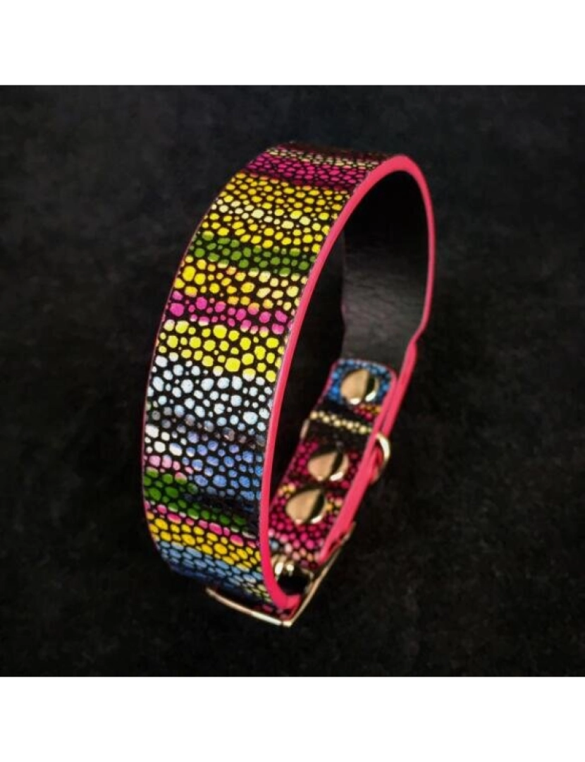 imagem de O Moby Puppy Collar1