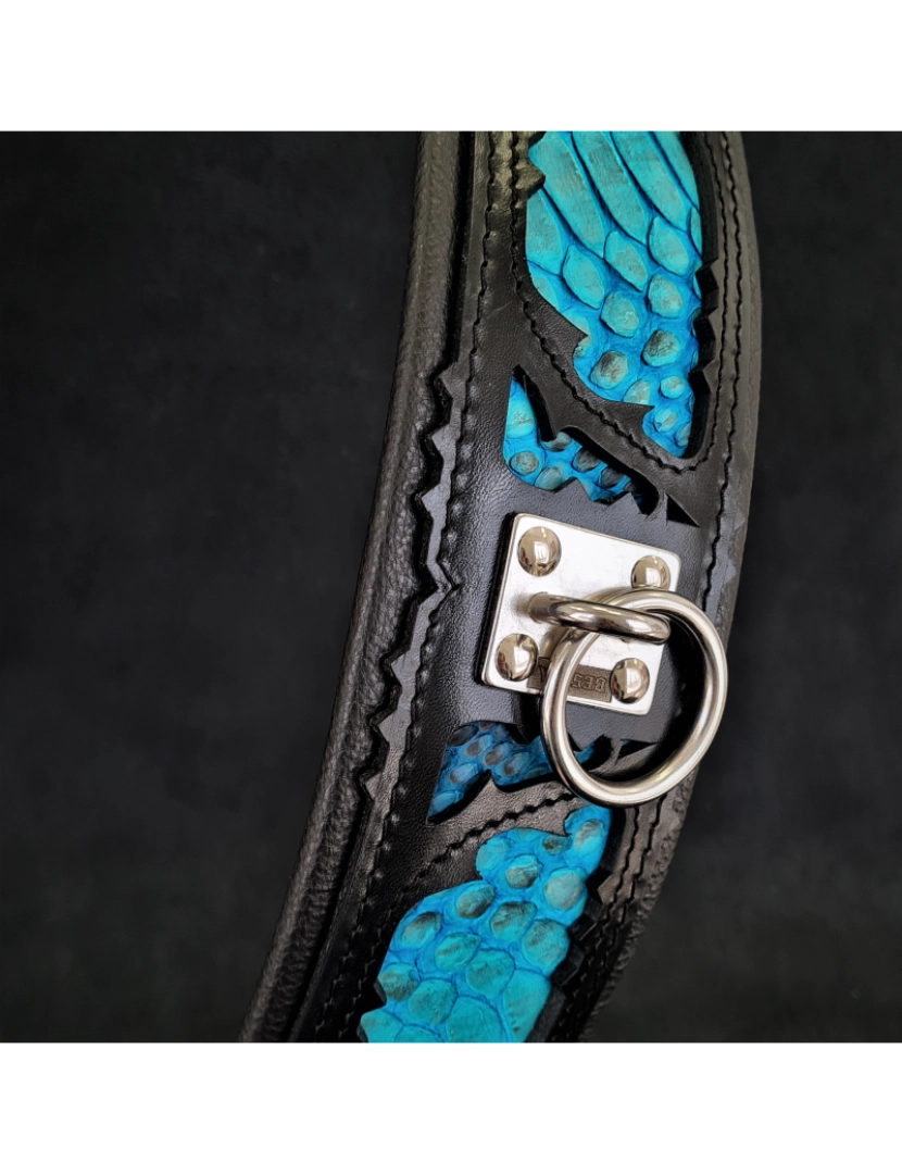 Bestia Custom Dog Gear - The Morelia Python Collar