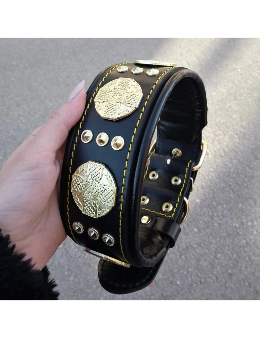 imagem de The Maximus Black/Gold Collar2