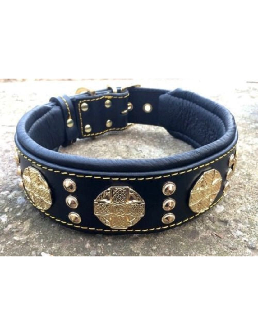 imagem de The Maximus Black/Gold Collar3