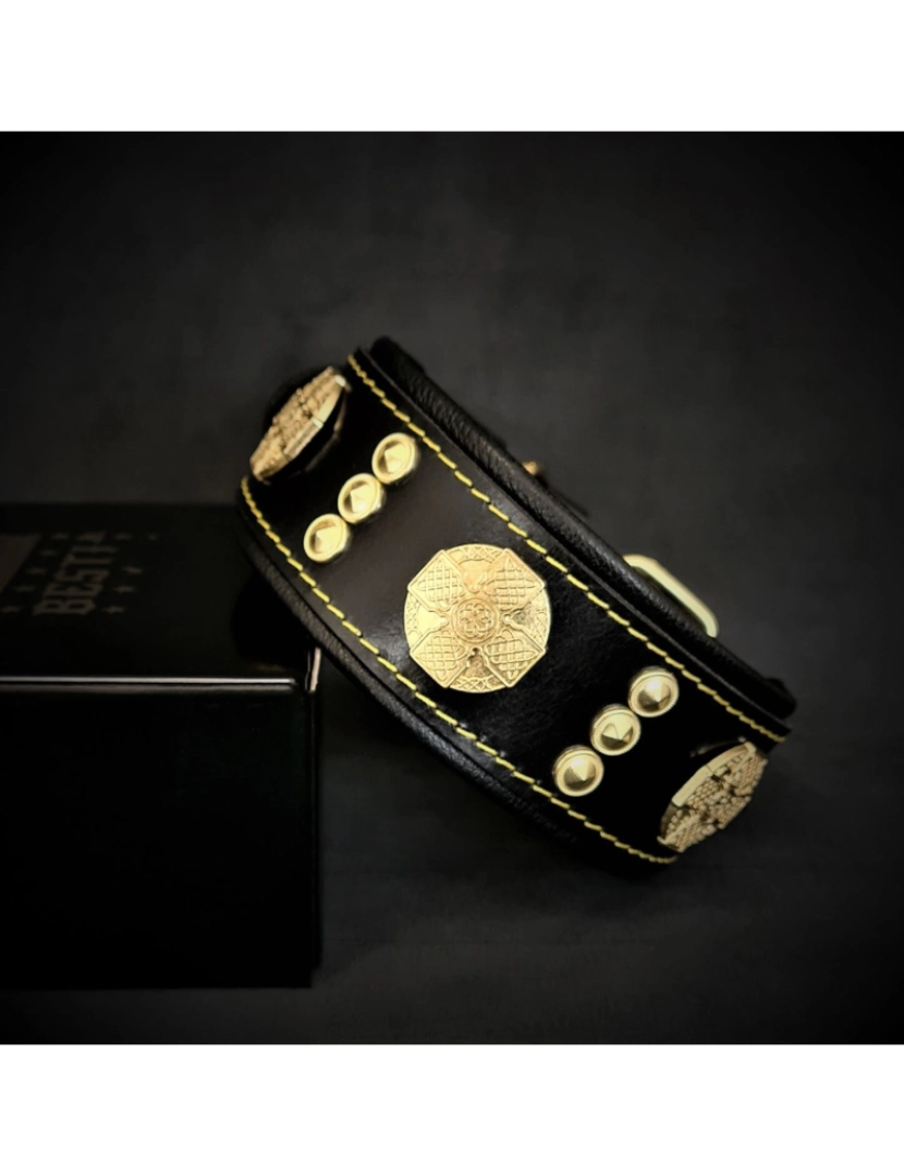 Bestia custom dog gear 2025