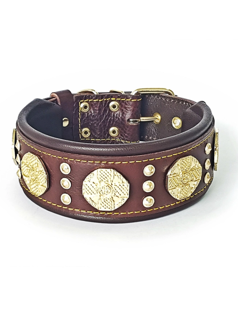 imagem de The Maximus Brown/Gold Collar2