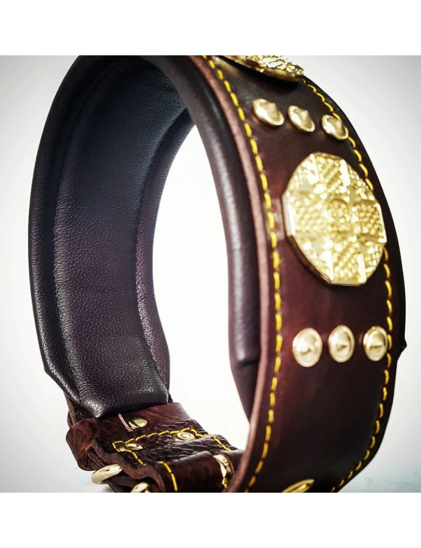 imagem de The Maximus Brown/Gold Collar3