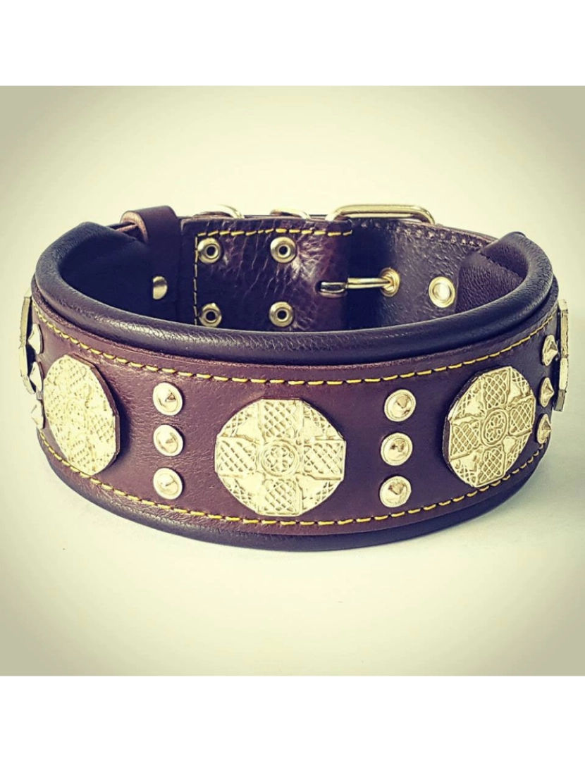 imagem de The Maximus Brown/Gold Collar4