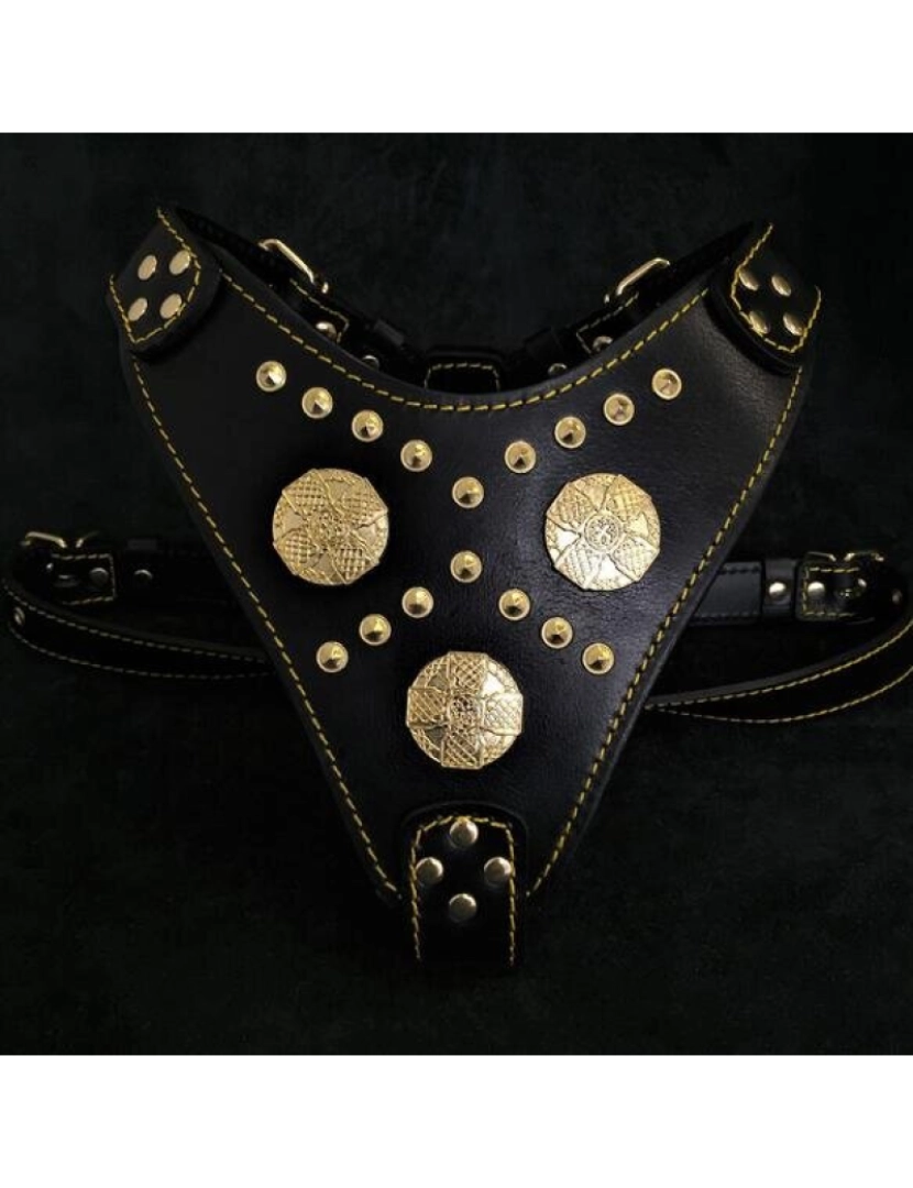 Bestia Custom Dog Gear - The Maximus Harness Black & Gold