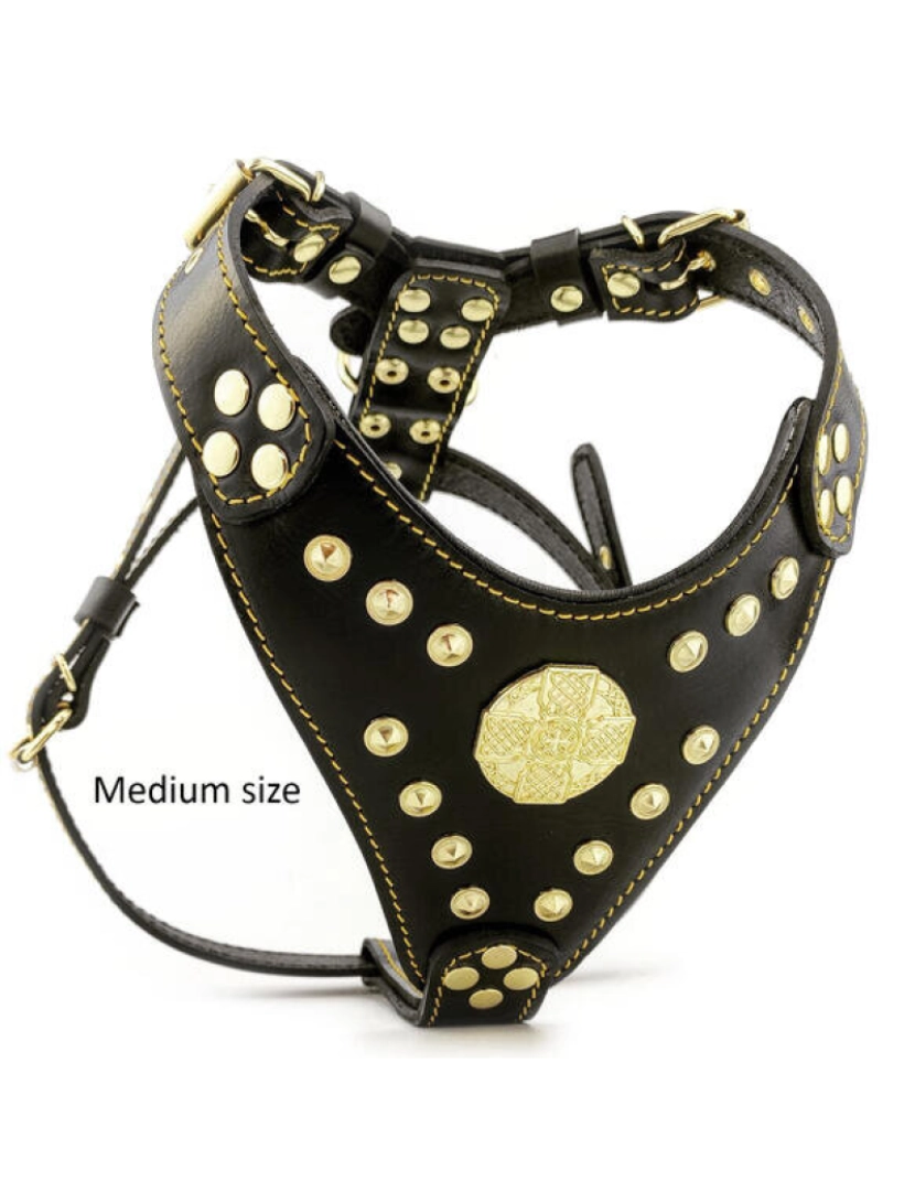 imagem de The Maximus Harness Black & Gold2