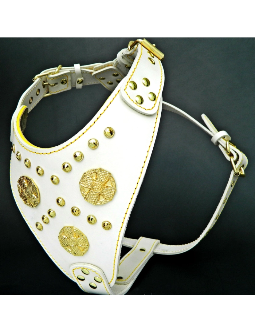 imagem de The Maximus Harness White & Gold3