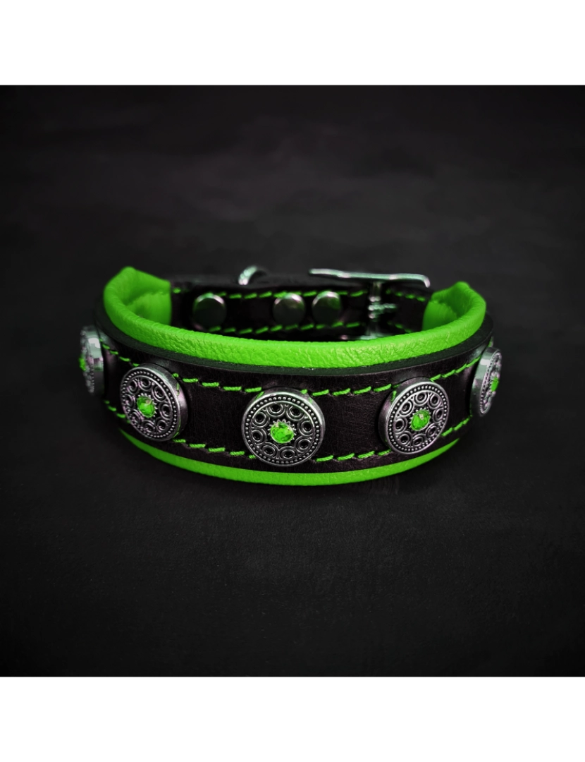 Bestia Custom Dog Gear - O Bijou Puppy Collar Verde