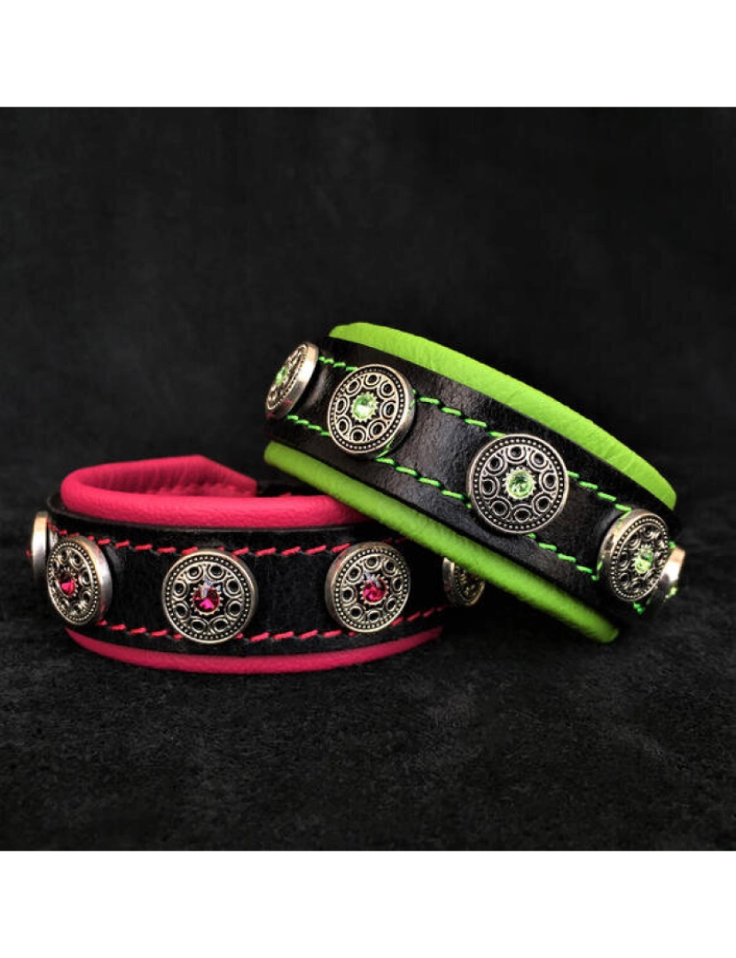 imagem de O Bijou Puppy Collar Verde2