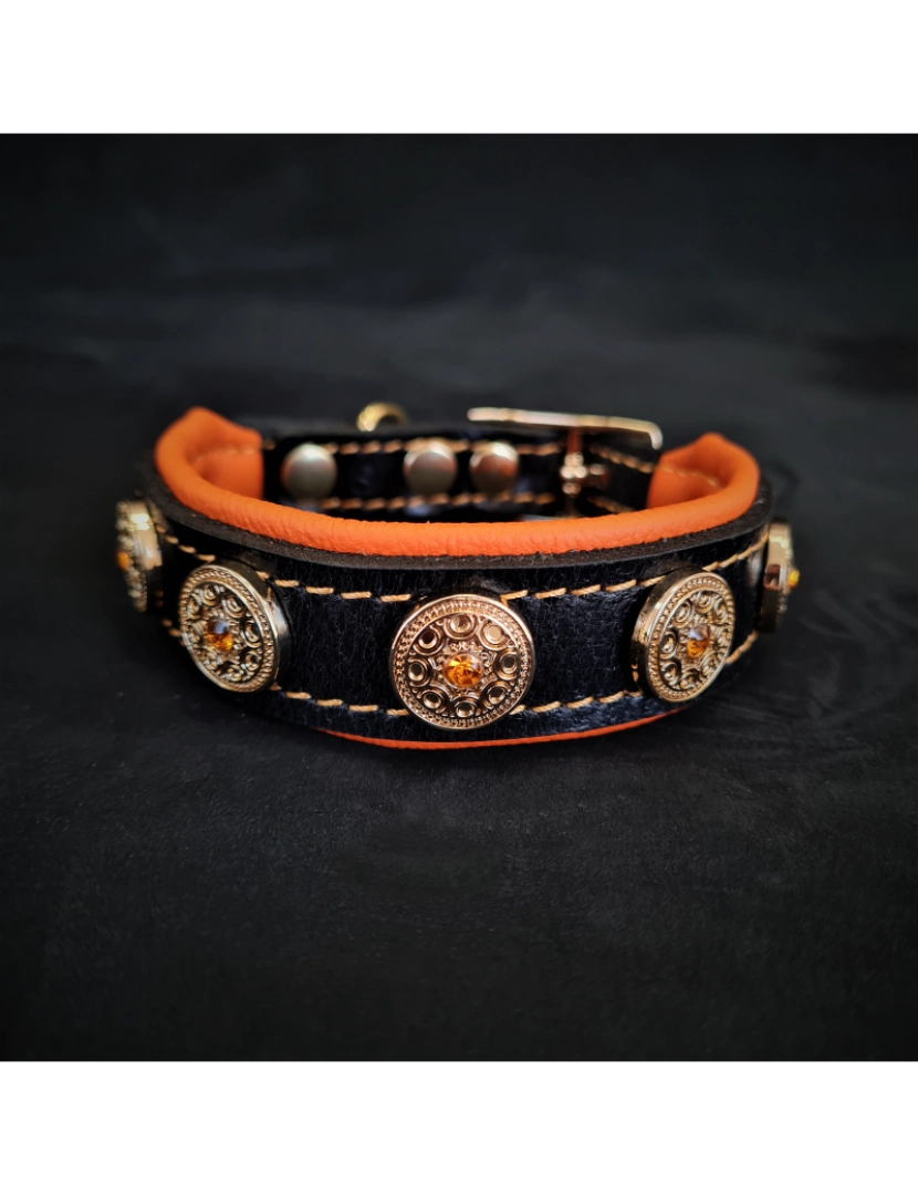 imagem de O Bijou Puppy Collar Laranja1