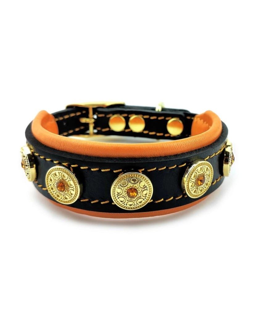 imagem de O Bijou Puppy Collar Laranja2