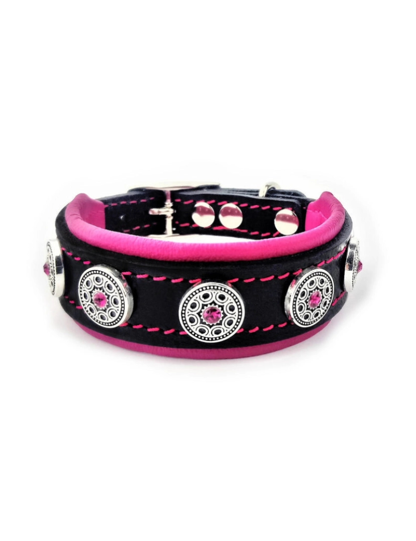 imagem de O Bijou Puppy Collar Rosa2