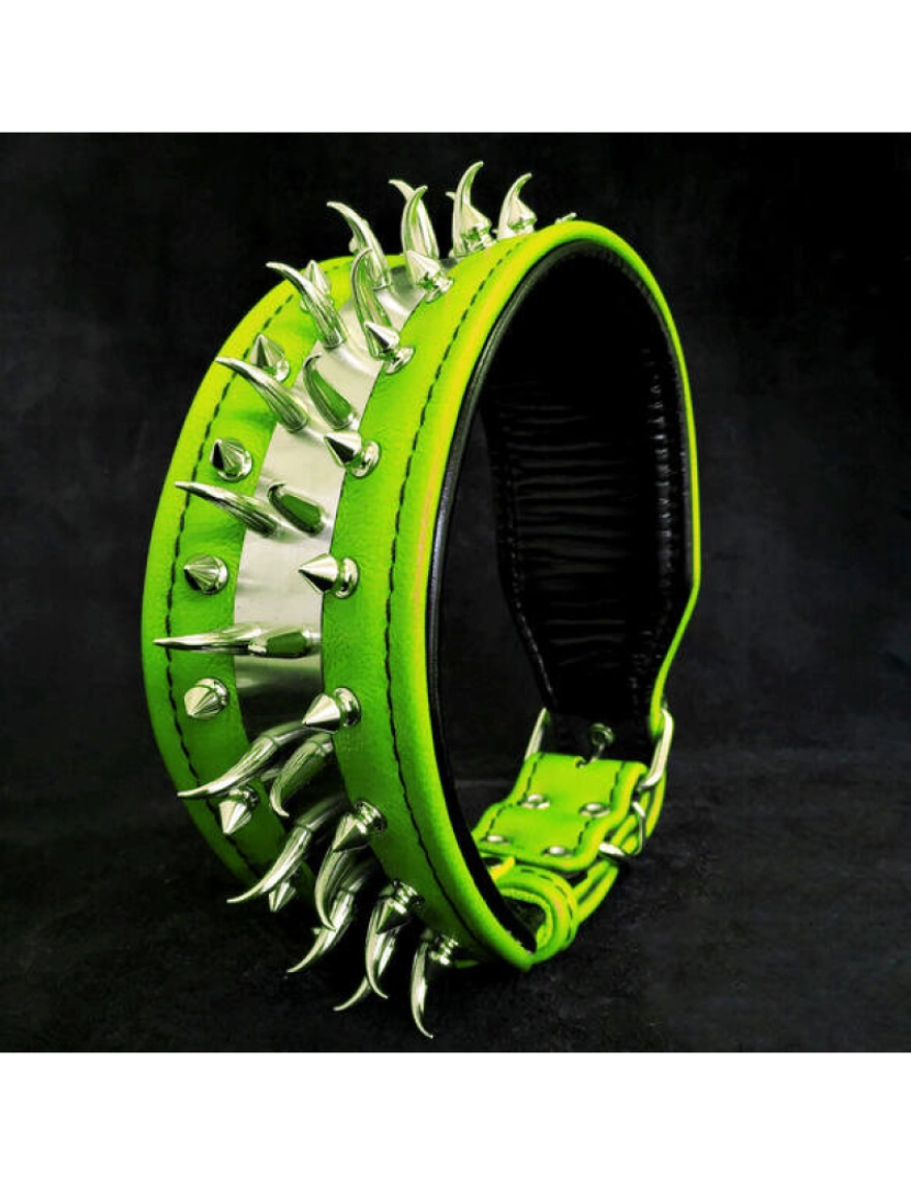 imagem de A Colar Verde Predator1