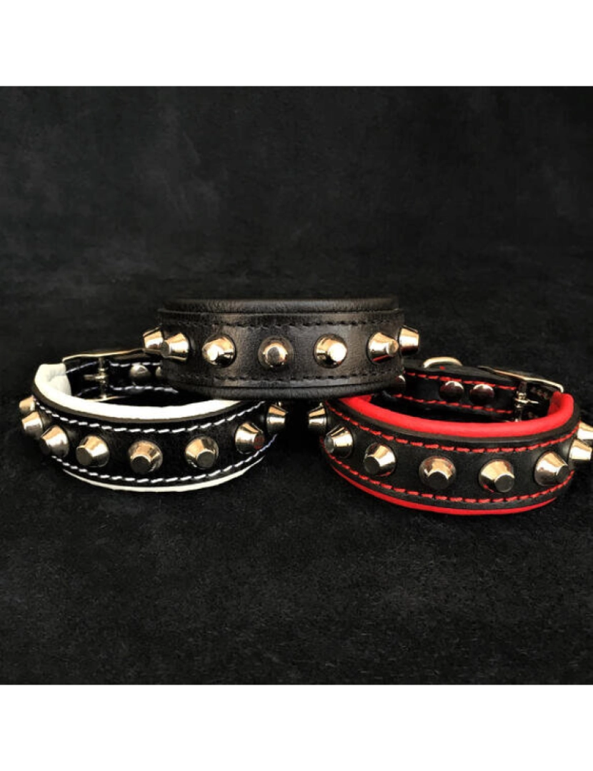 Bestia Custom Dog Gear - The Rock Collar Black & Black