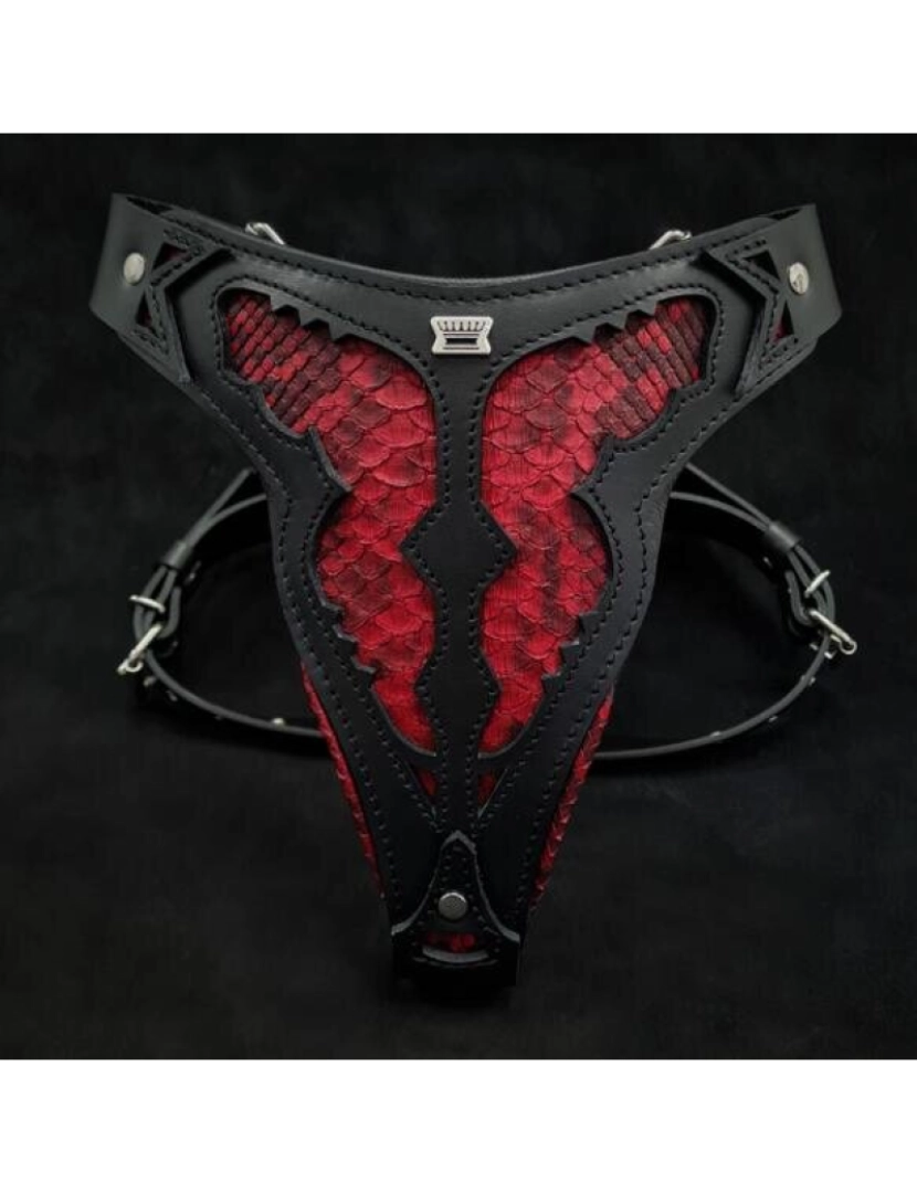 imagem de A Harness do Dragão Vermelho4