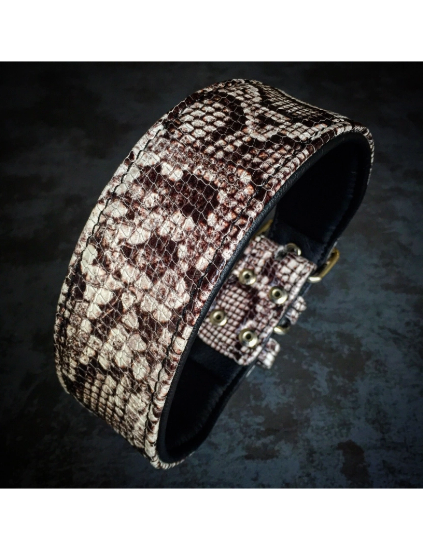 imagem de The Black Rock Python Collar2