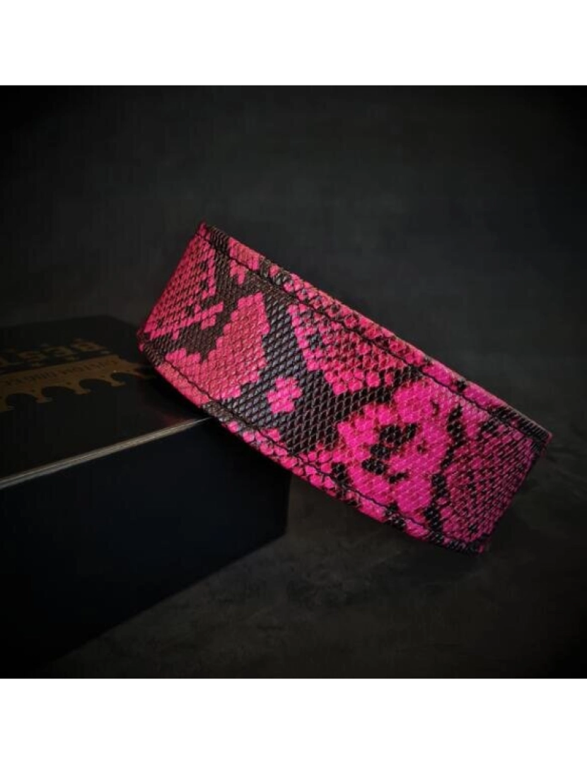 Bestia Custom Dog Gear - The Pink Rock Python Collar