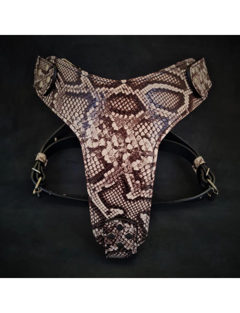 Bestia Custom Dog Gear - The Black Rock Python Harness