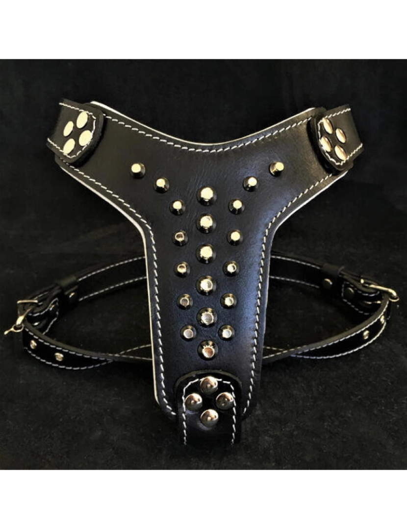 imagem de The Rocky Studded couro Harness Preto & Preto1