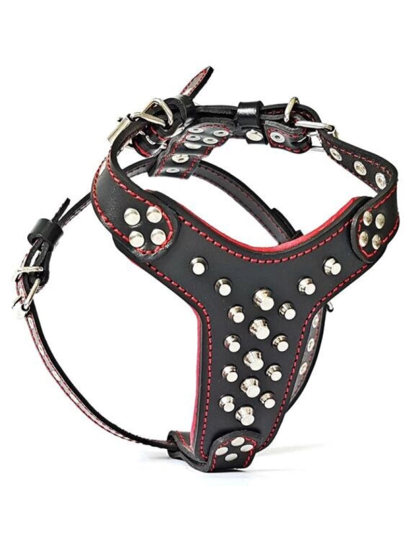 imagem de The Rocky Studded couro Harness Preto & Preto3