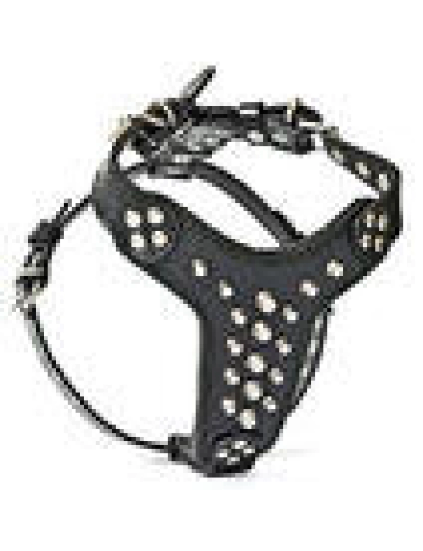 imagem de The Rocky Studded couro Harness Preto & Preto4