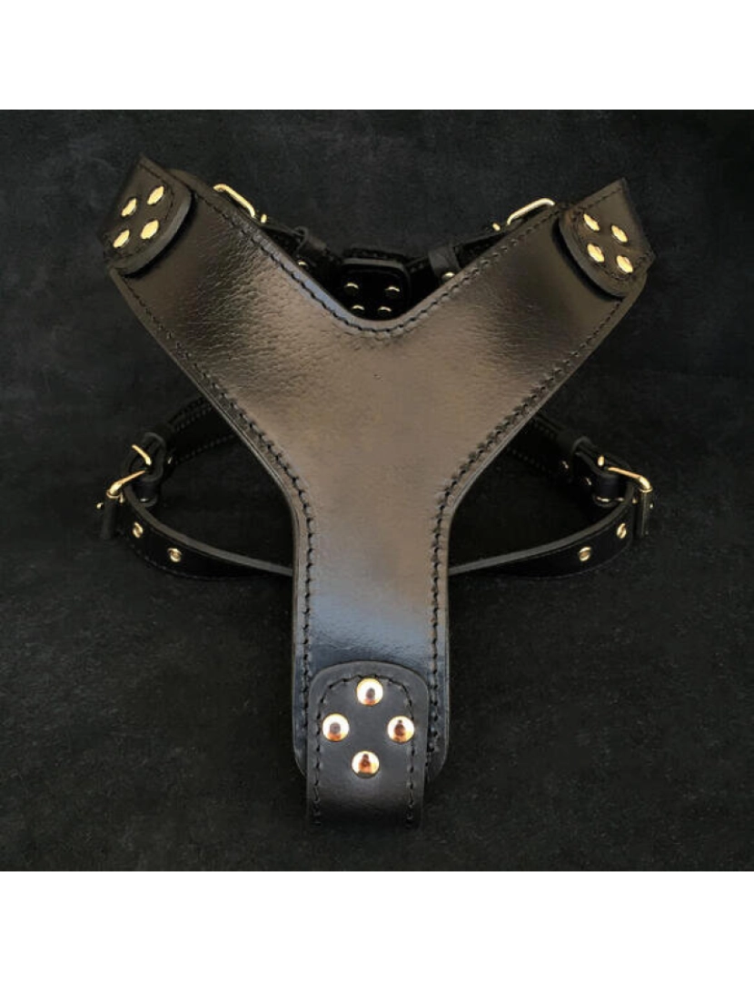 Bestia Custom Dog Gear - O estilo Harness Preto