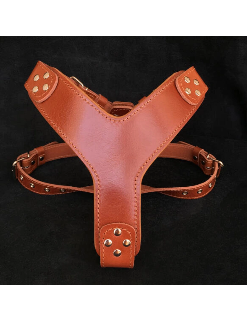 Bestia Custom Dog Gear - O estilo Harness Brown