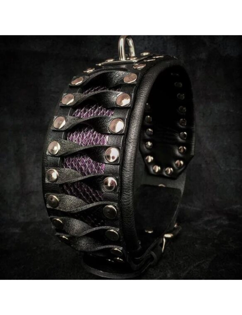 Bestia Custom Dog Gear - O design exclusivo do Steampunk Collar