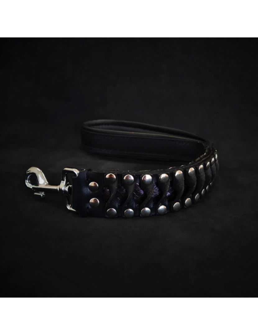 Bestia Custom Dog Gear - O Steampunk Leash