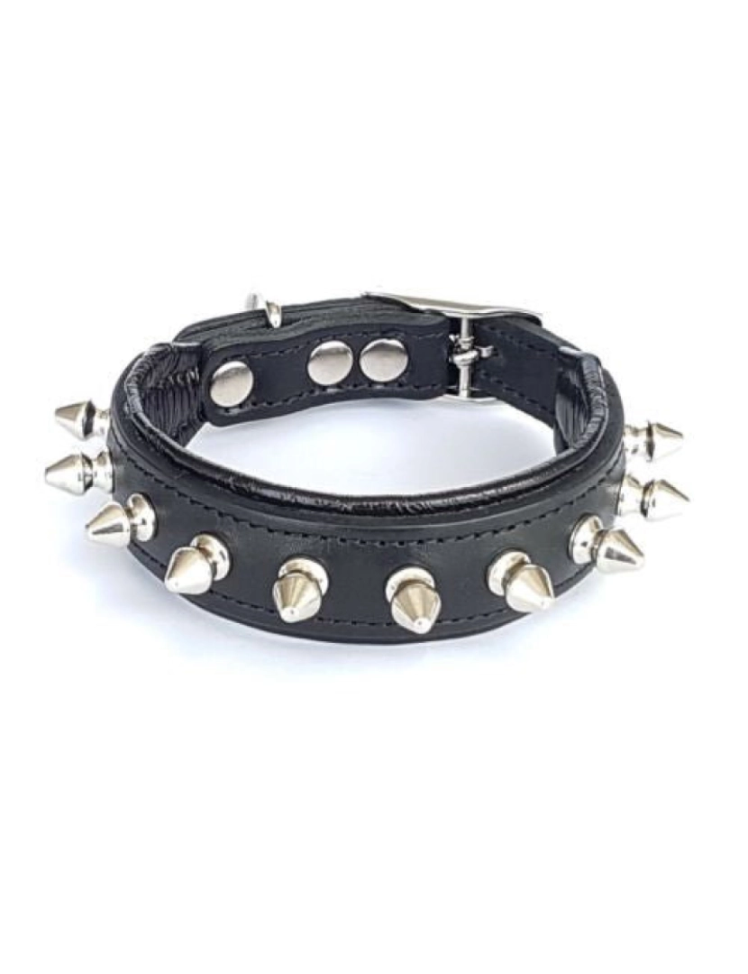 imagem de The Spiky Collar Black & Black3