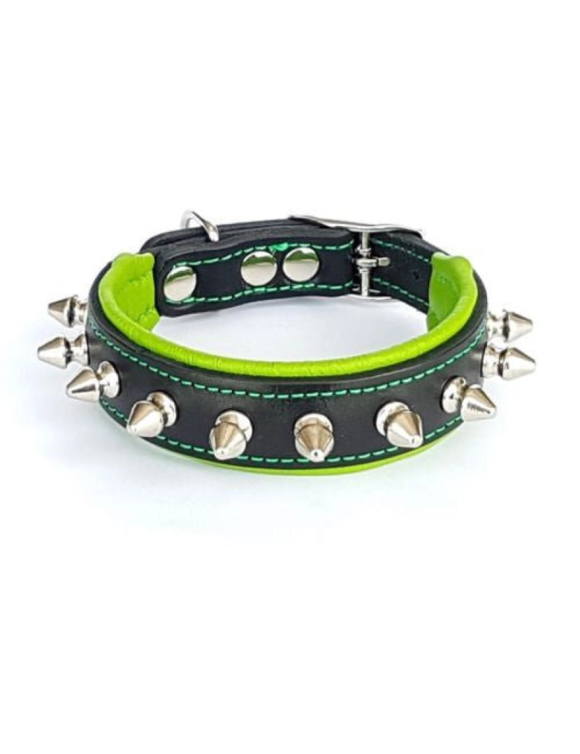 imagem de The Spiky Collar Preto & Verde2