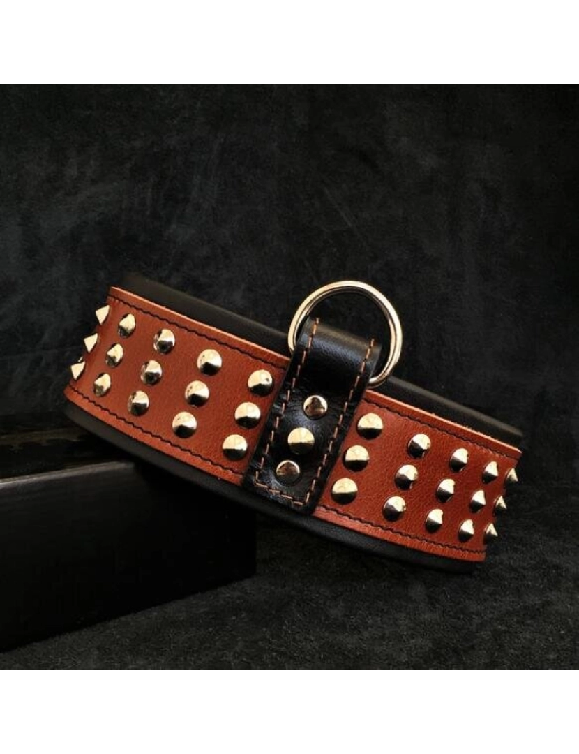 Bestia Custom Dog Gear - A estrela Brown Collar