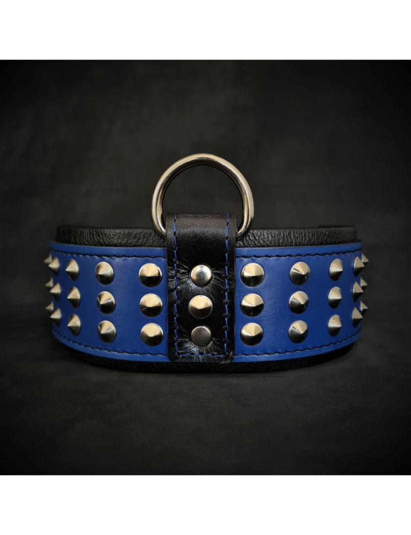 Bestia Custom Dog Gear - O colar azul estrela