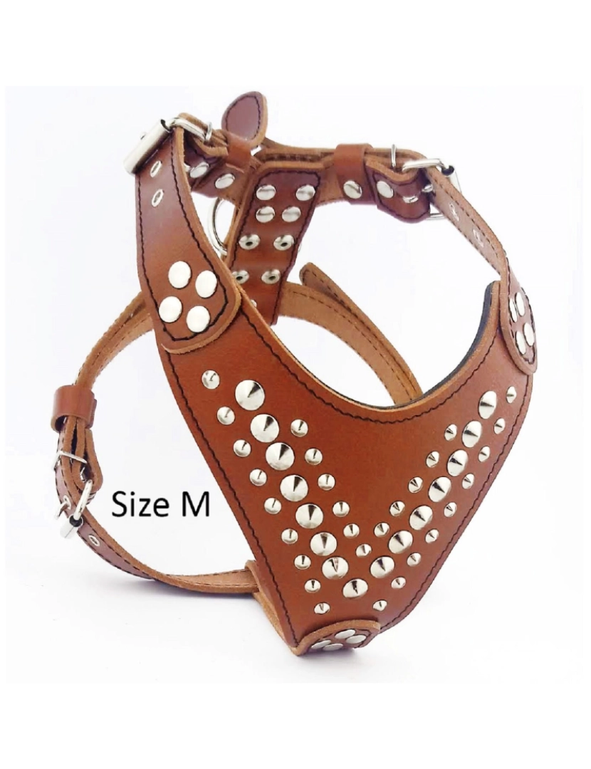 imagem de The Star Brown Harness2