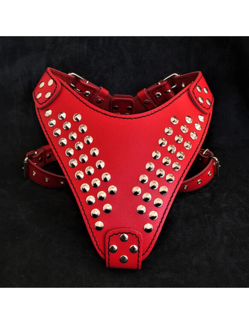 Bestia Custom Dog Gear - The Star Red Harness