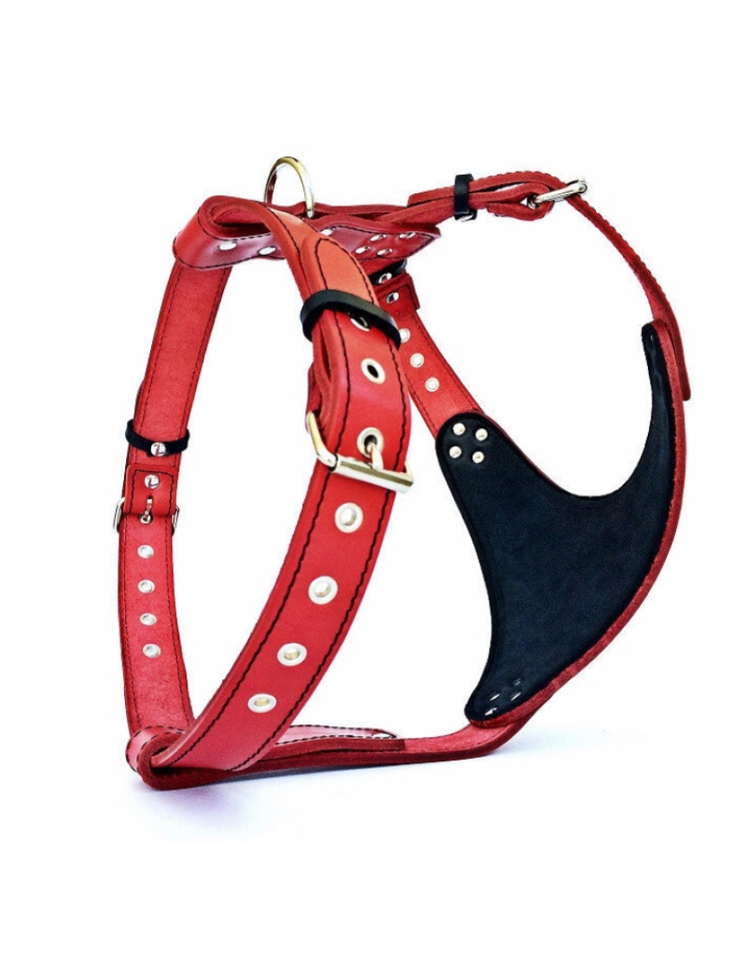 imagem de The Star Red Harness4