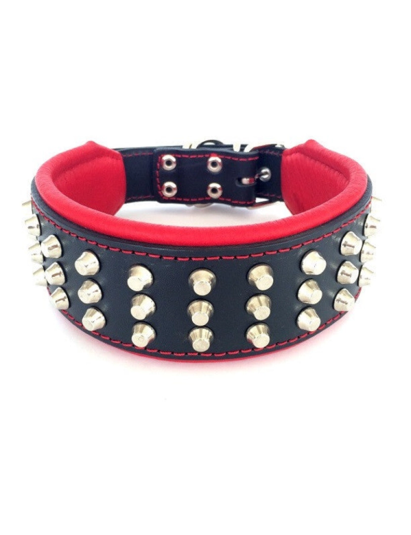 imagem de The Stud Dog Collar Preto & Preto3